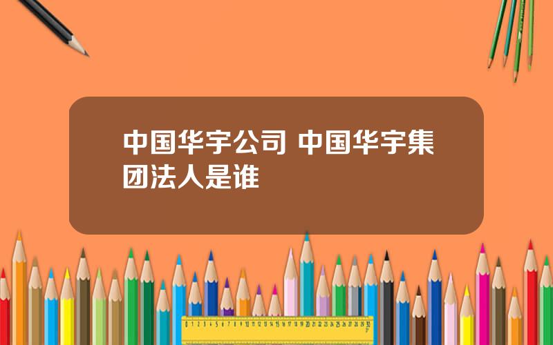 中国华宇公司 中国华宇集团法人是谁